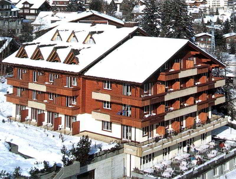 אדלבודן Hotel Steinmattli מראה חיצוני תמונה